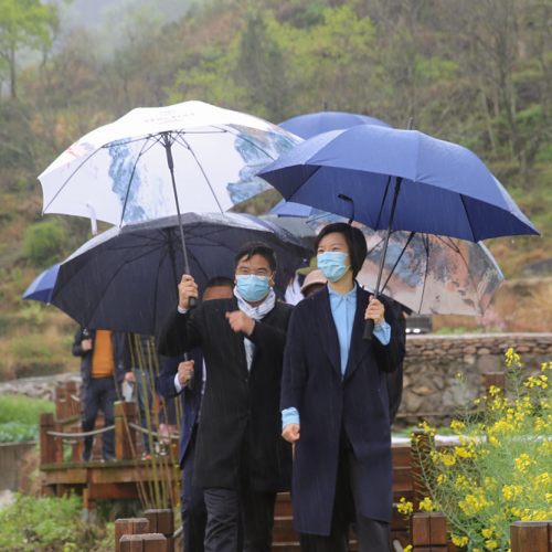 黄慧专题调研“幸福村社”创建：联动推进乡村振兴、探索共富有效路径