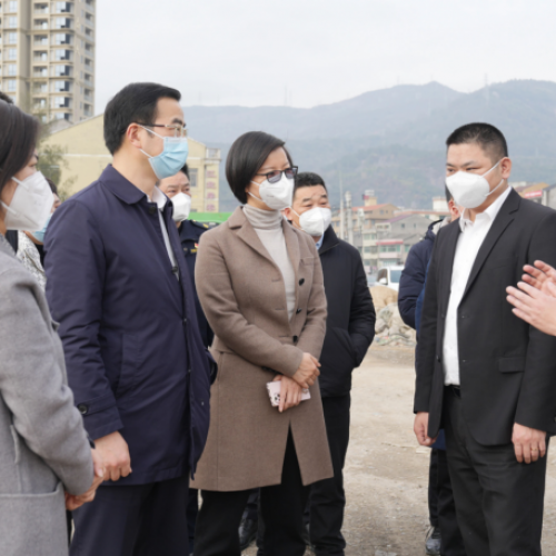 黄慧开展全域环境整治督查：呈现美丽新面貌 展现靓丽新形象