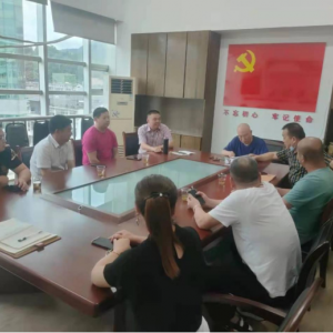 县“三会”党支部开展“起航百年，践责履职当先锋”主线支部党员大会