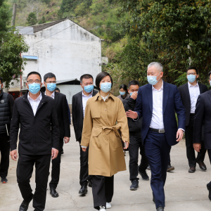 黄慧督查“三防”工作及生态环保问题整改落实情况：切实提升“三防”工作应对处置能力