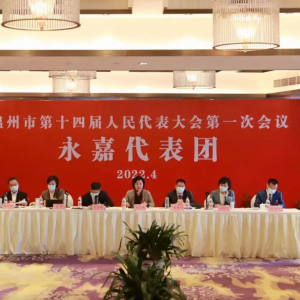 市十四届人大一次会议永嘉代表团审议市政府工作报告：​为全面推进温州“四大振兴”贡