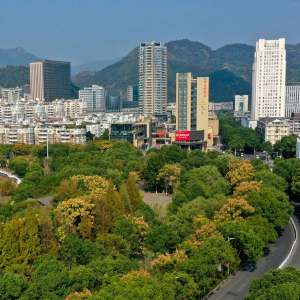 292项政务事项全部实现网办！永嘉加快推进数字交通建设