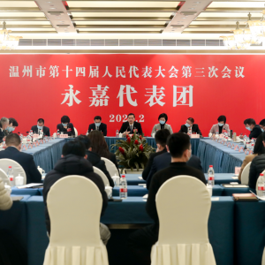刘小涛参加永嘉代表团审议：打造山区县跨越式高质量发展的样板