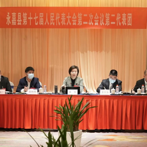 黄慧参加第二代表团审议：在“拥江融入、产城融合”中展现更大担当作为