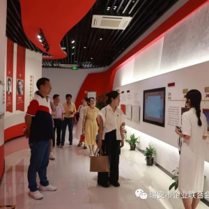 市企业家协会党日活动走进国旗教育馆