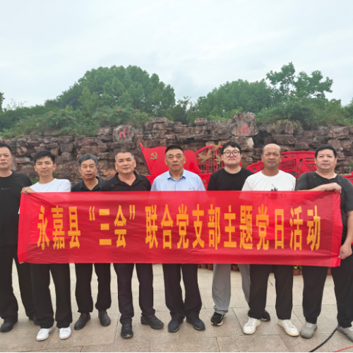 永嘉县企联“三会”党支部开展“传承红船精神” 主题党日活动